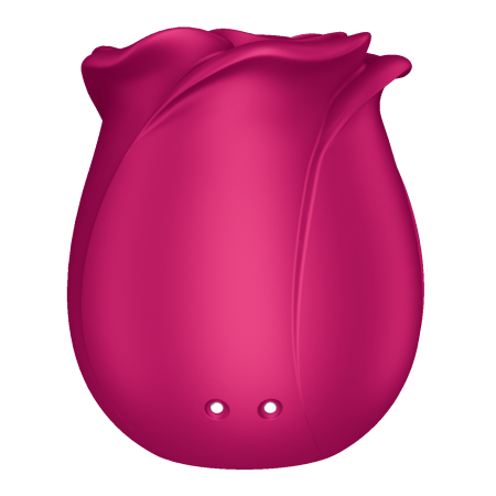 Вакуумный стимулятор клитора Satisfyer Pro 2 Classic Blossom_7