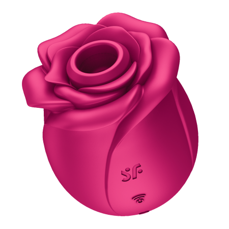 Вакуумный стимулятор клитора Satisfyer Pro 2 Classic Blossom_5