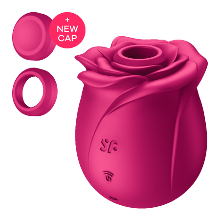 Вакуумный стимулятор клитора Satisfyer Pro 2 Classic Blossom_3